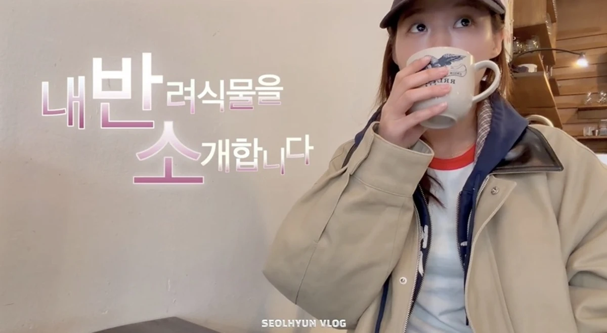 설현 유튜브