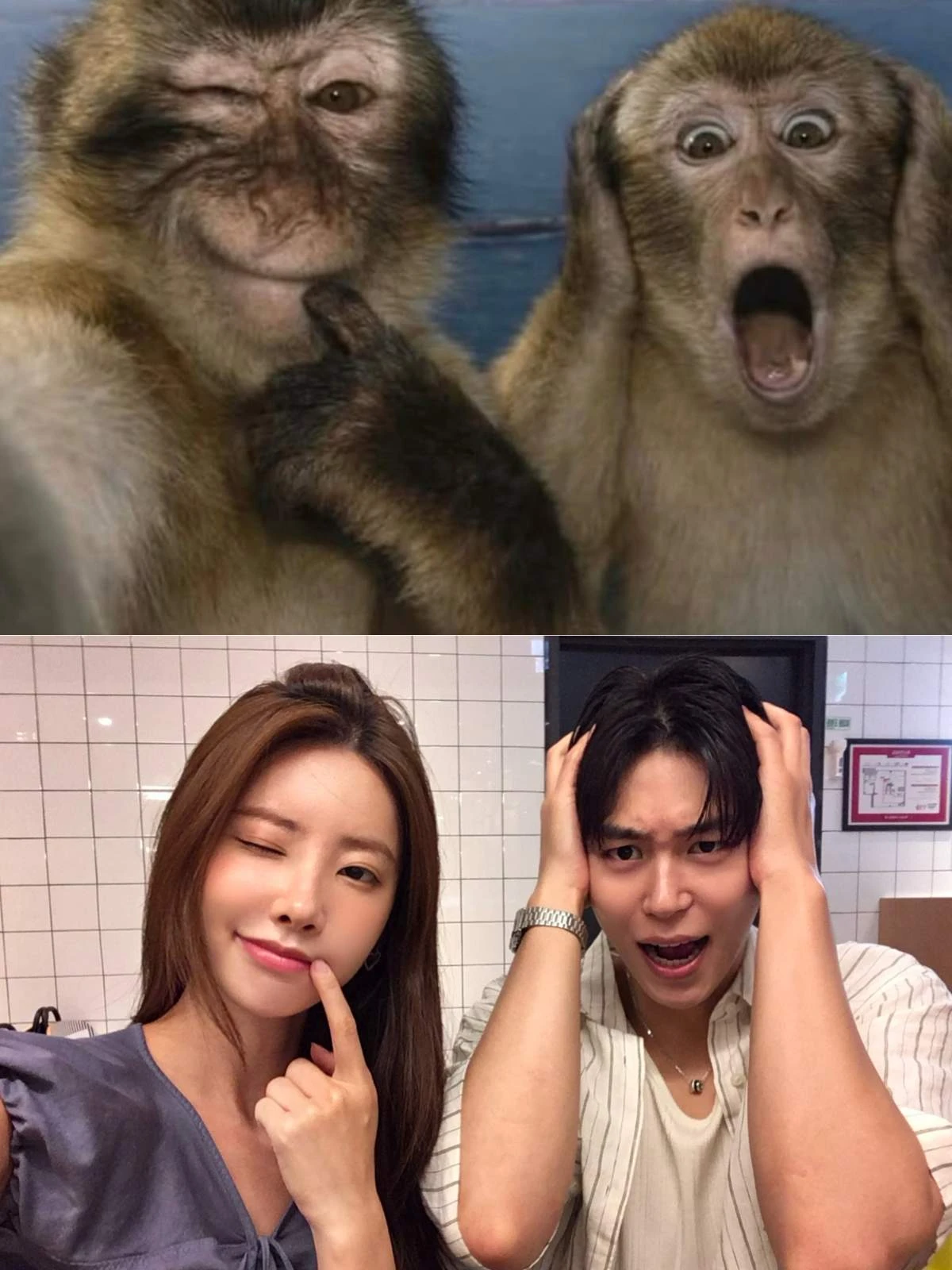 기희현-이상윤