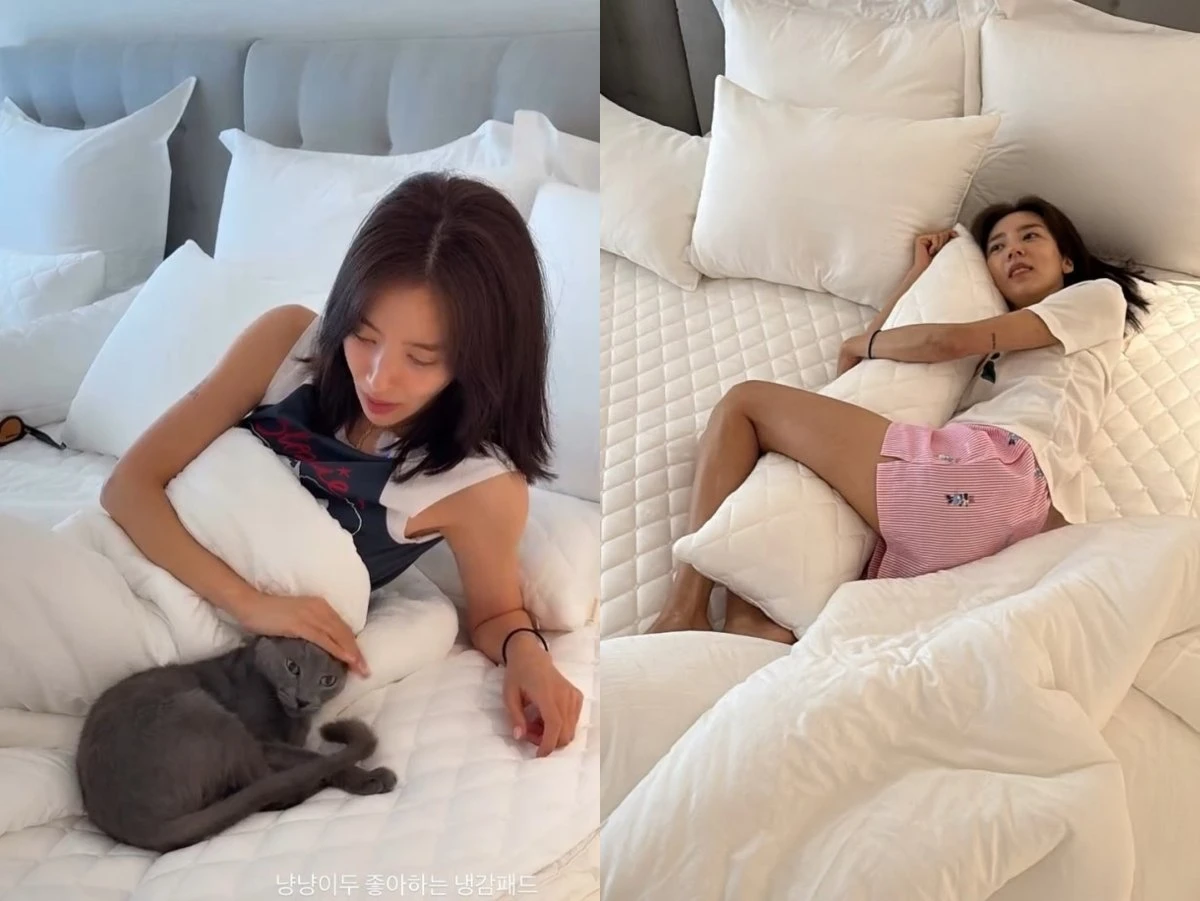 손담비 계정