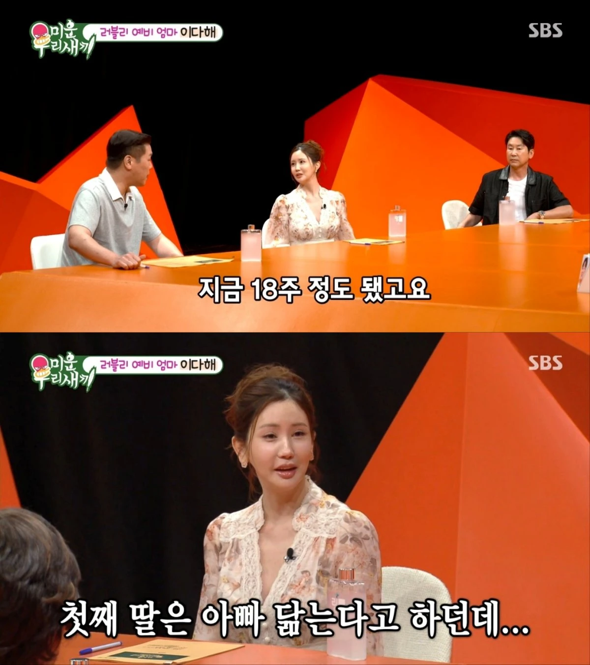 배우 이다해, '미운 우리 새끼' 출연