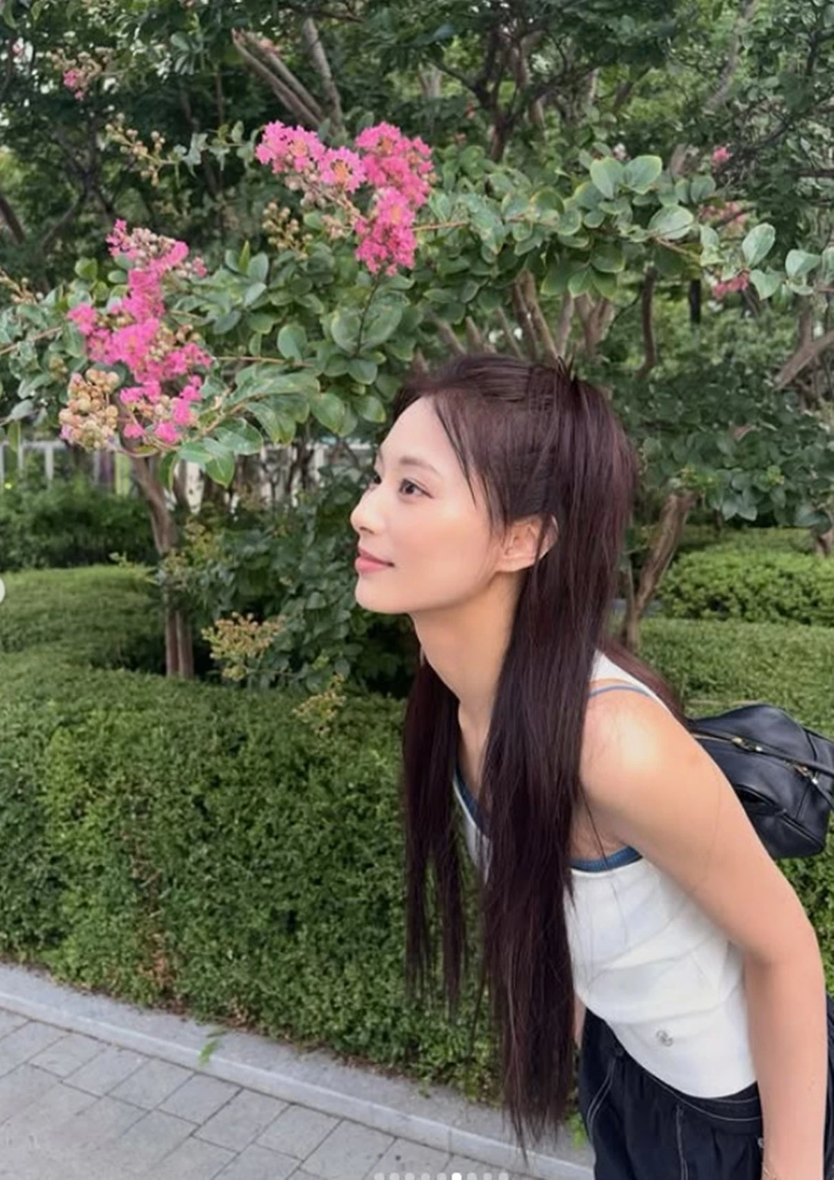 쯔위 계정