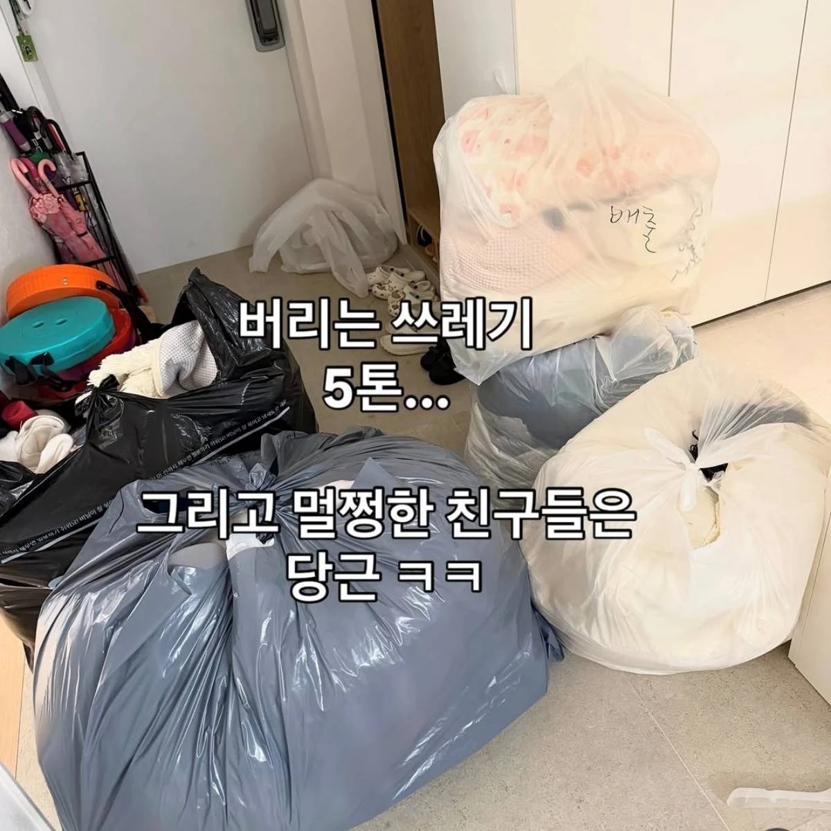 이지혜 이사 과정 공개