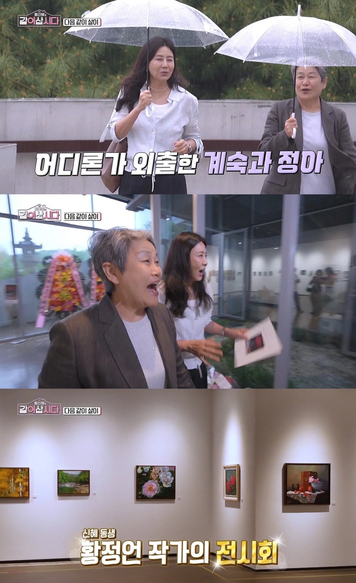 KBS 1TV '황신혜의 같이 삽시다'