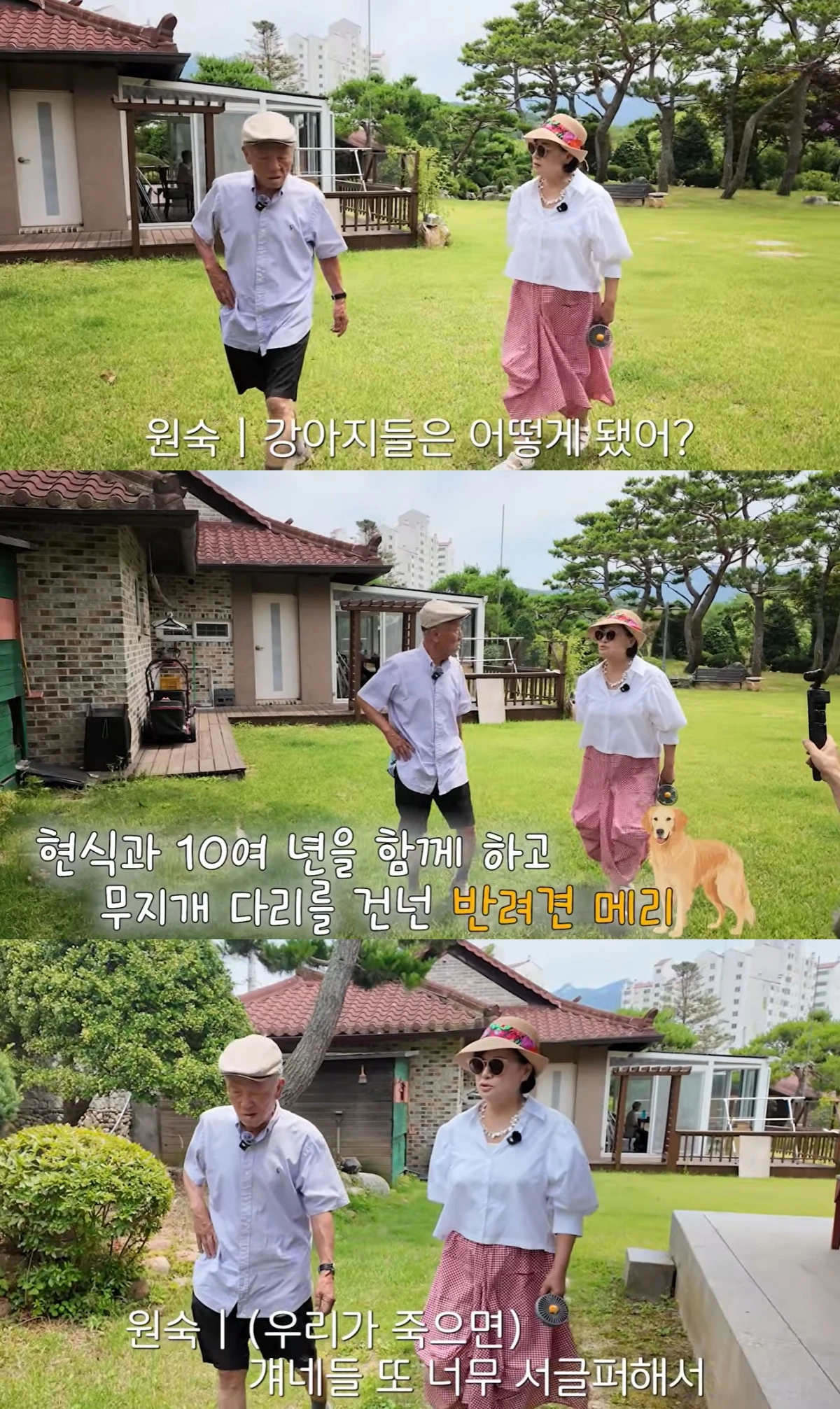 박원숙 유튜브 캡처