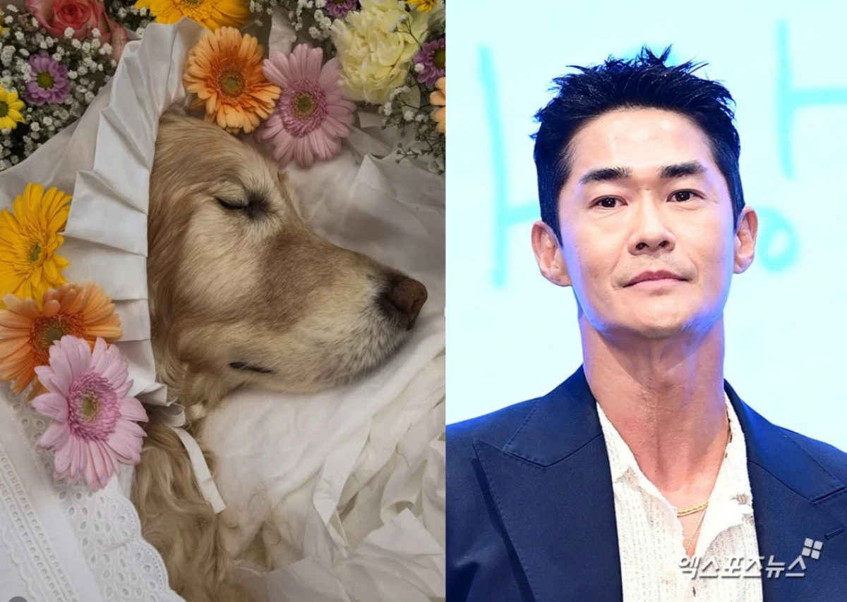사진 = 배정남, 엑스포츠뉴스 DB