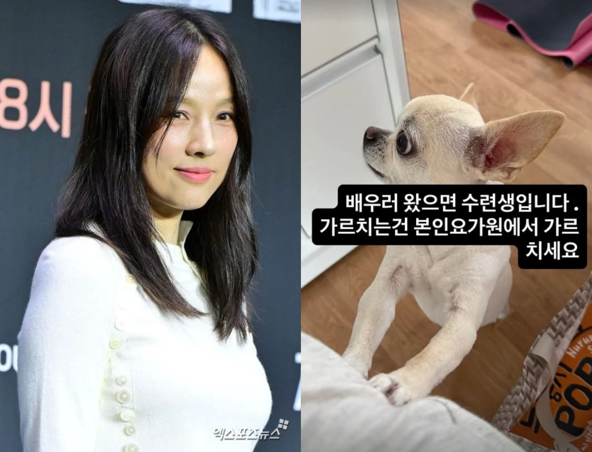 사진 = 엑스포츠뉴스 DB, 아난다 계정