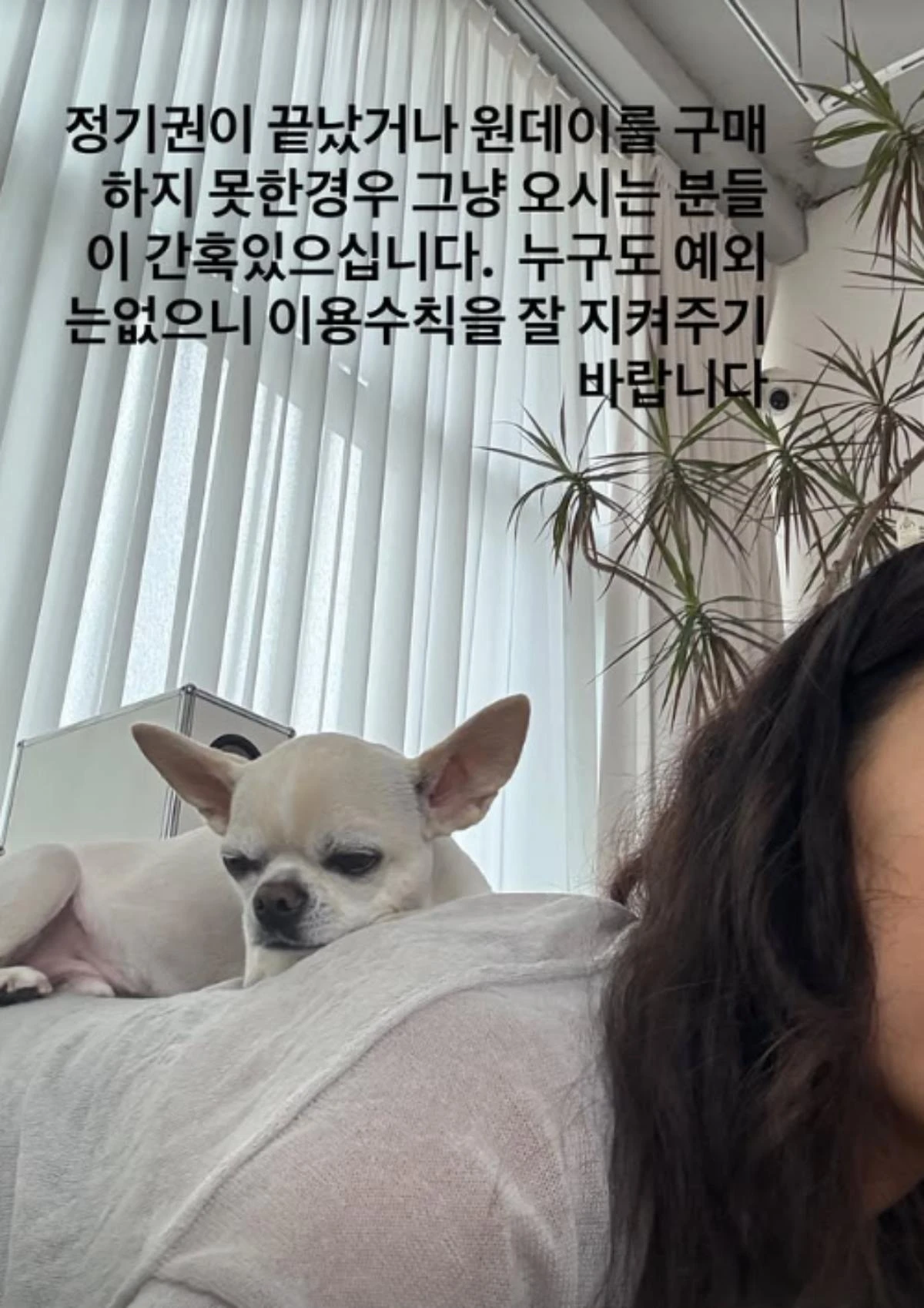 사진 = 이효리 요가원 '아난다'