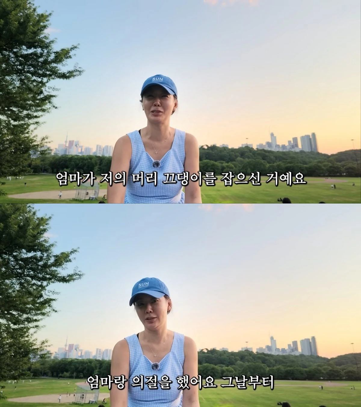 안선영 유튜브 영상