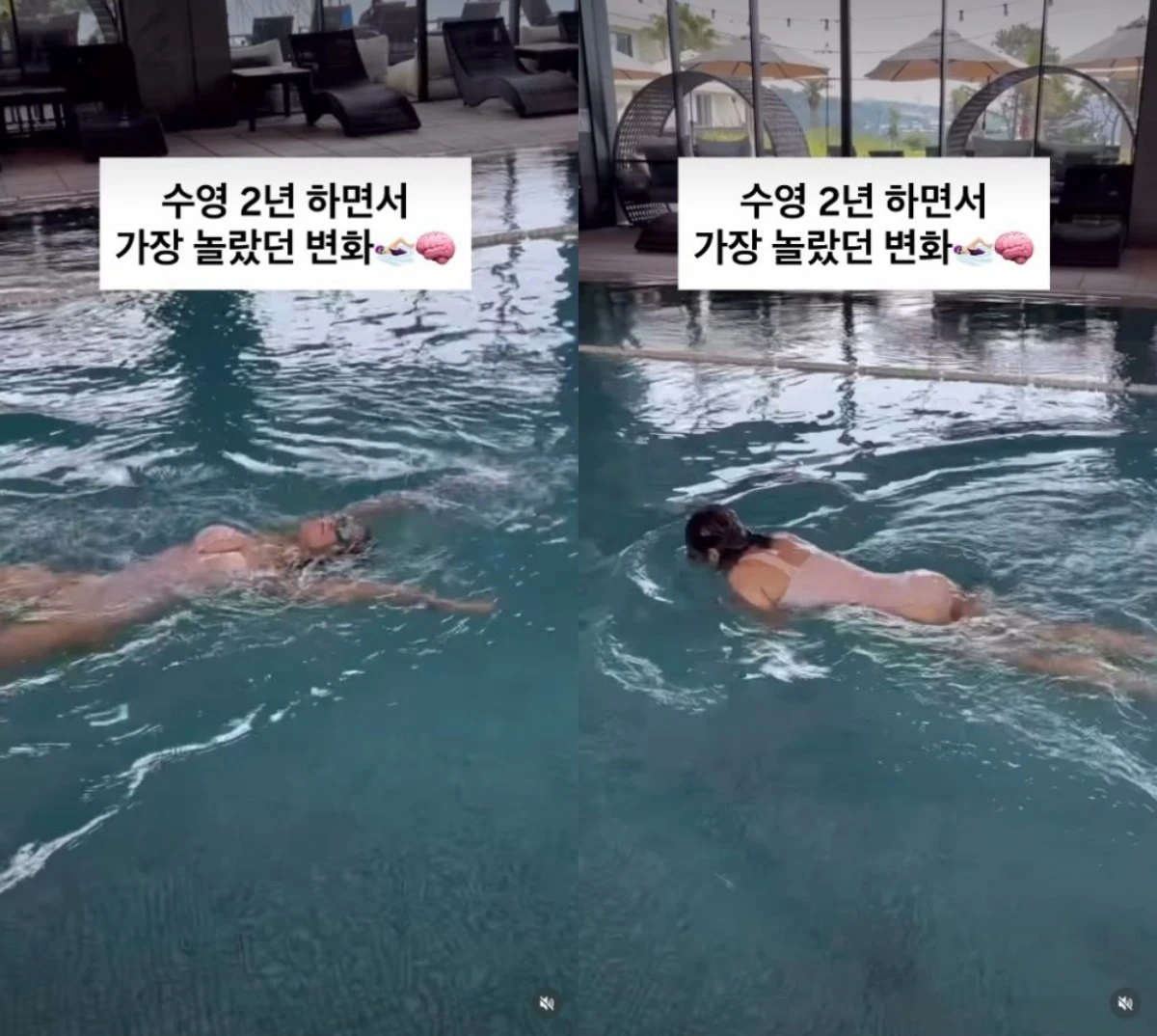 맹승지