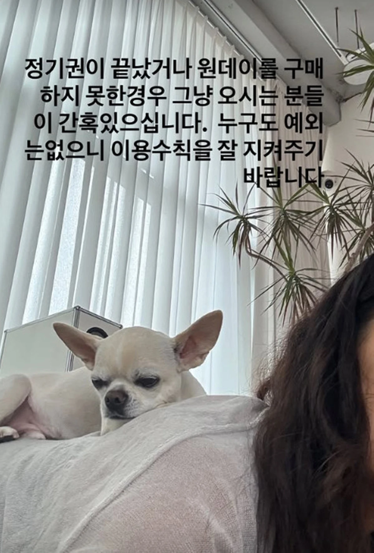 이효리 계정