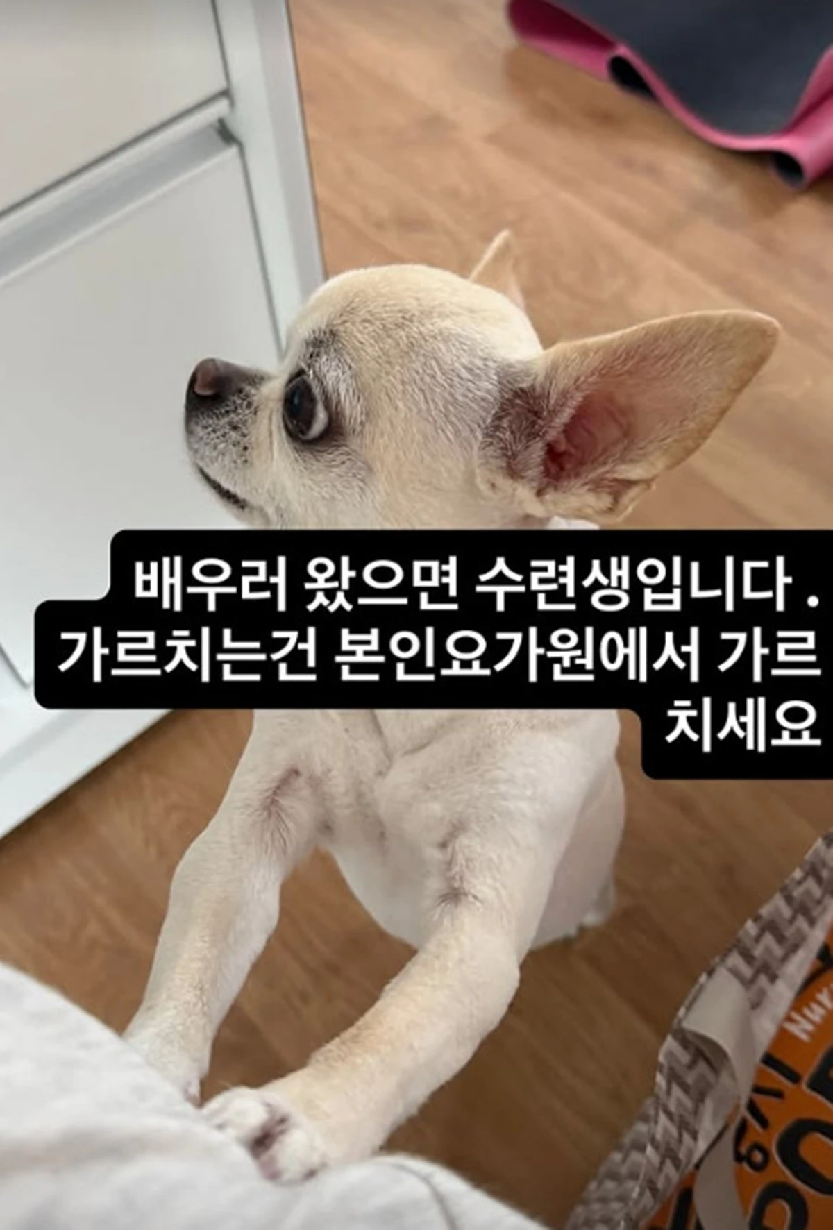 이효리 계정