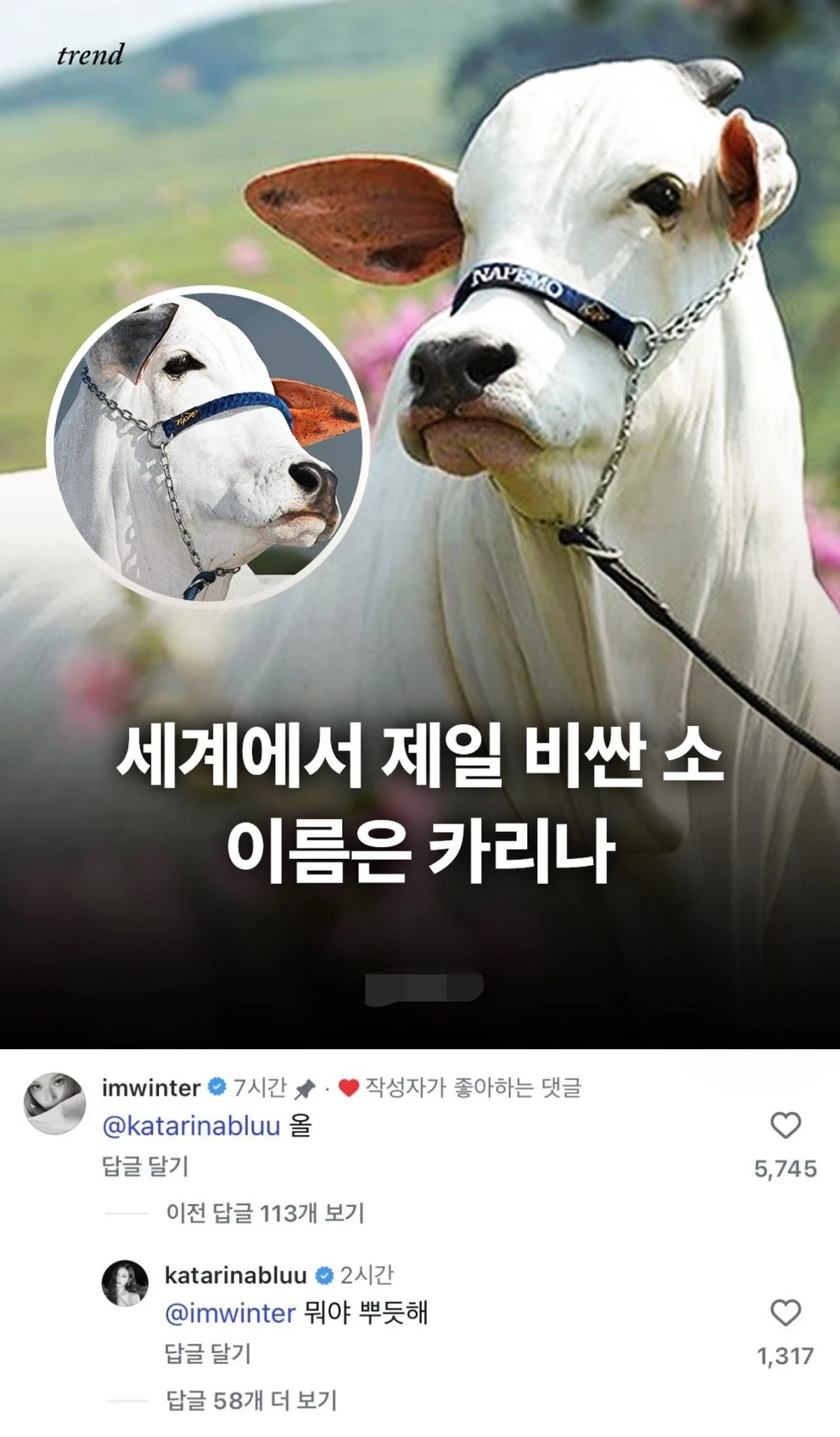 온라인 커뮤니티