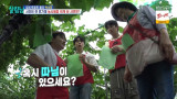 박서진, '2000평 포도밭 주인' 사위자리 욕심 따님 있으세요? (살림남)[종합]