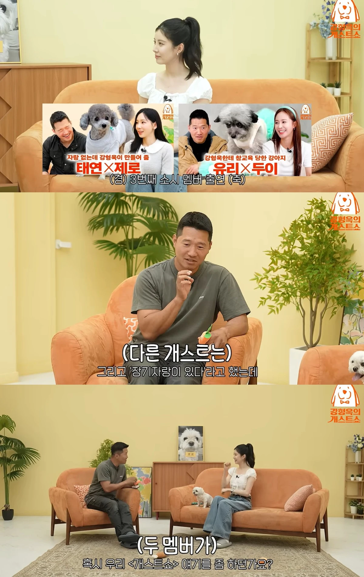 유튜브 '강형욱의 보듬TV' 캡쳐