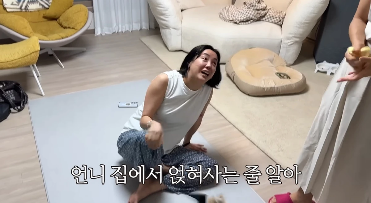 유튜브 채널 '방가네'