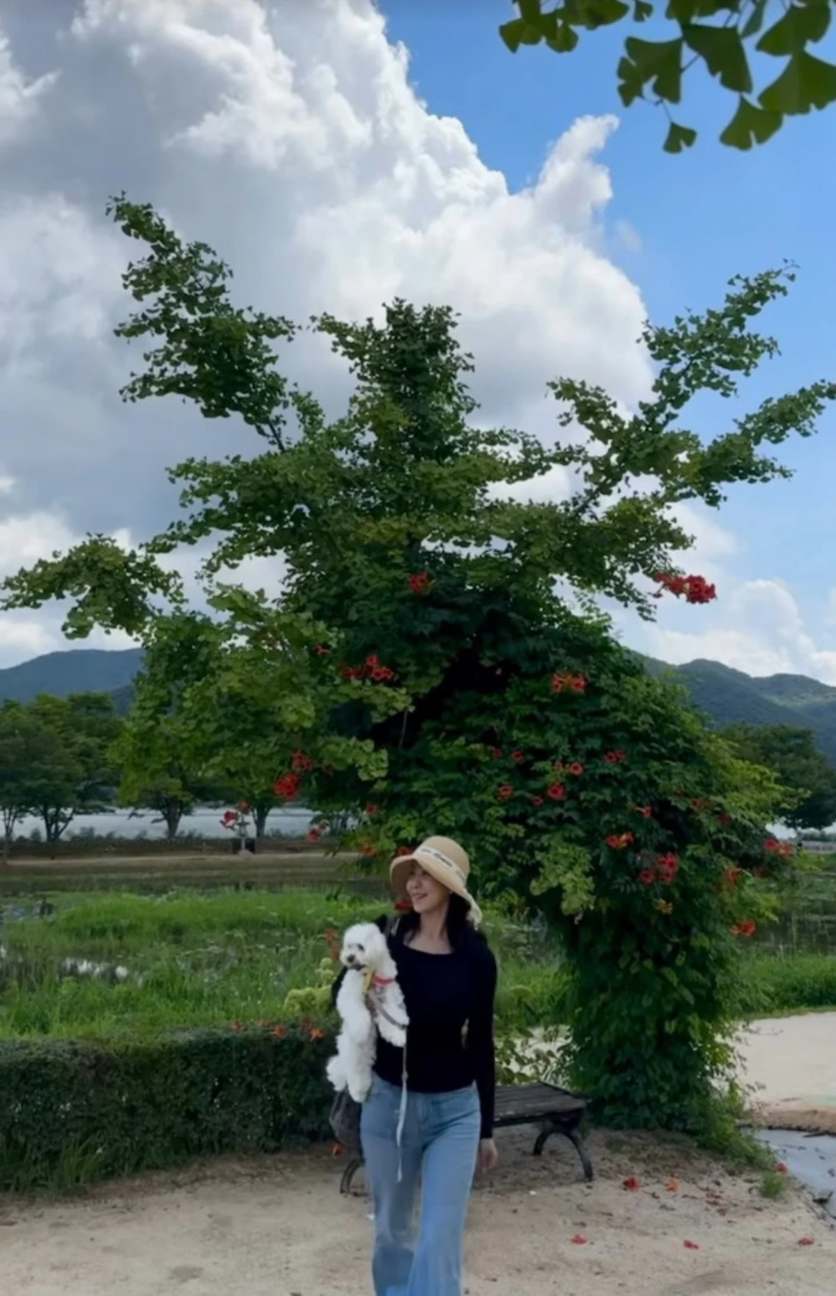 박지윤 계정