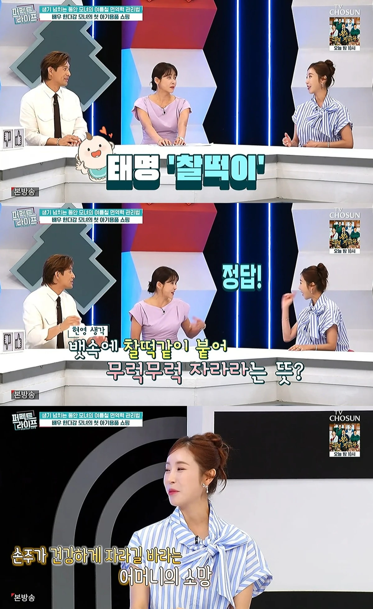 TV조선 '퍼펙트 라이프' 캡쳐
