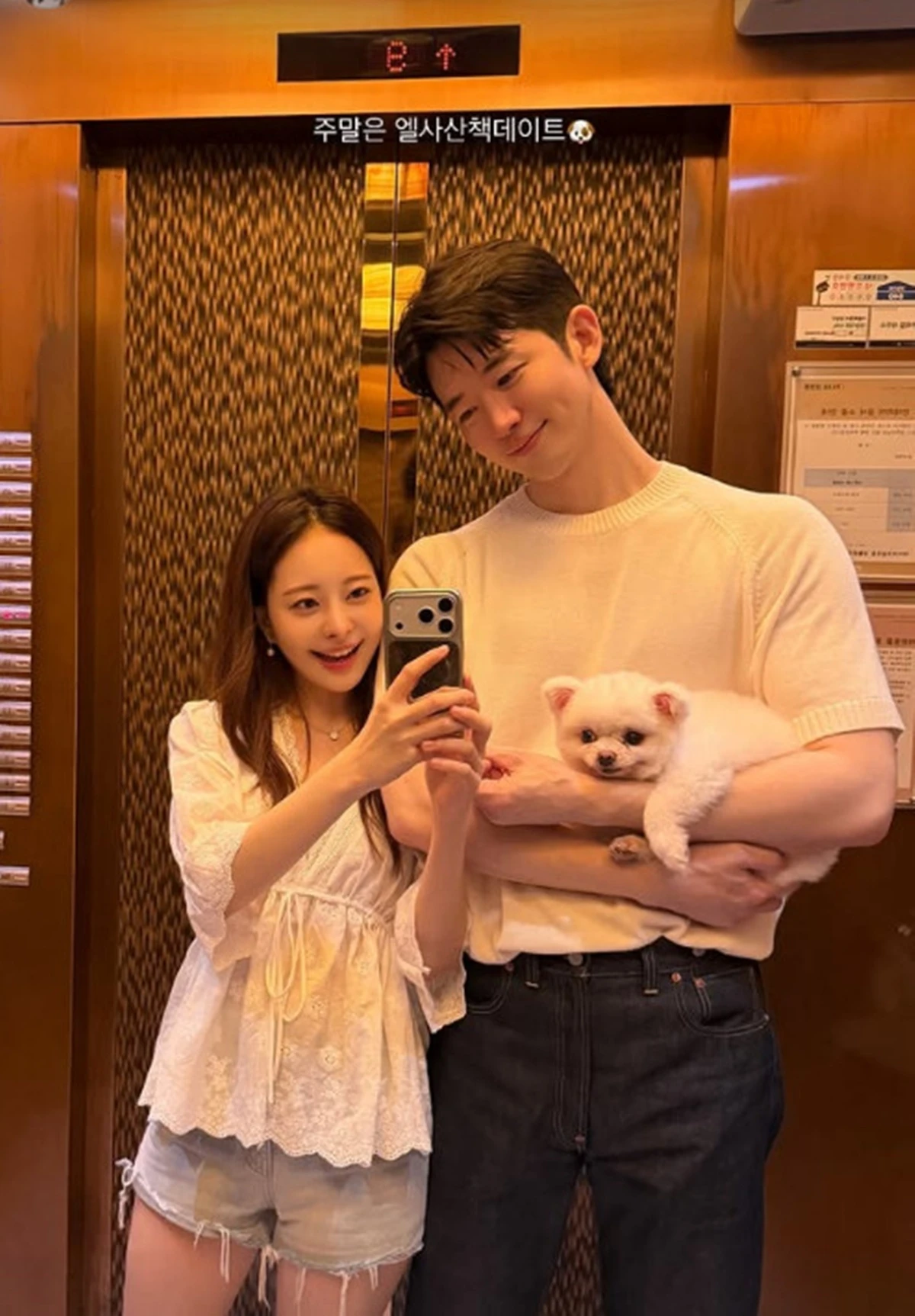 아옳이 계정