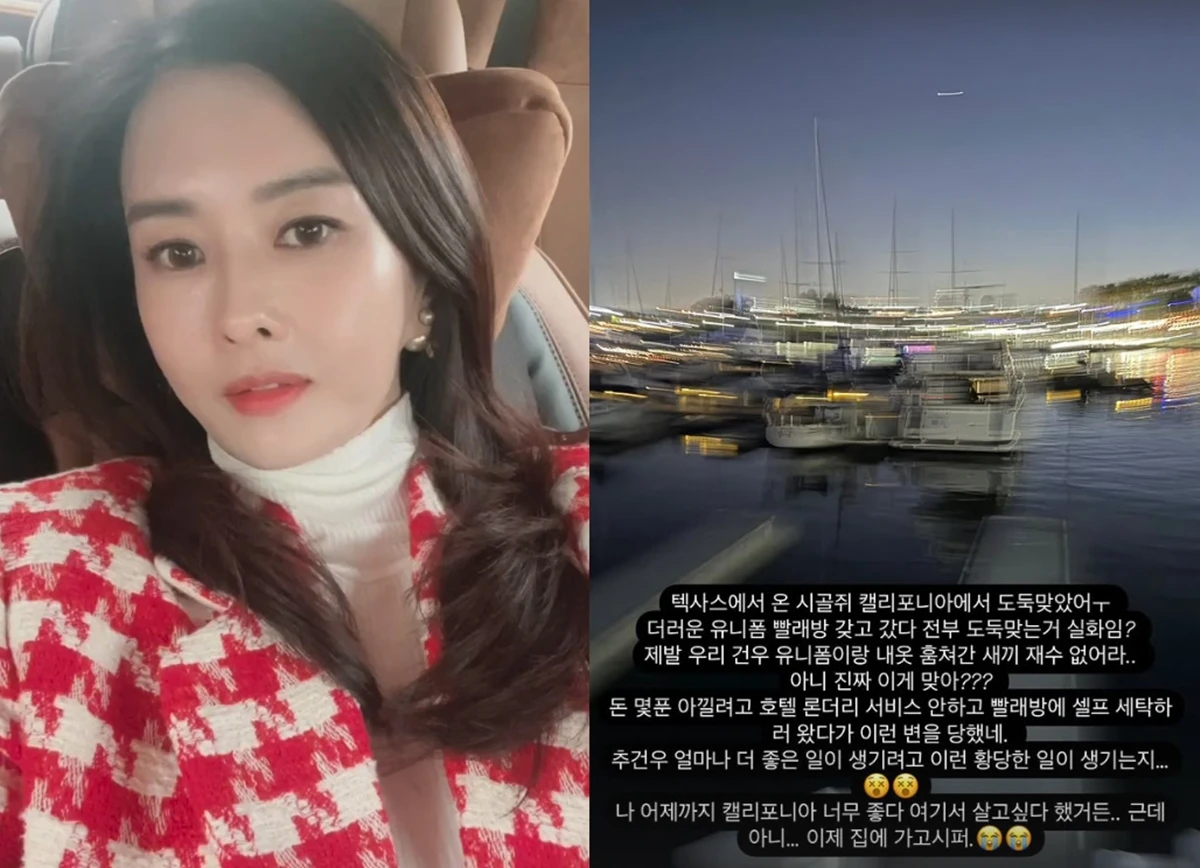 하원미