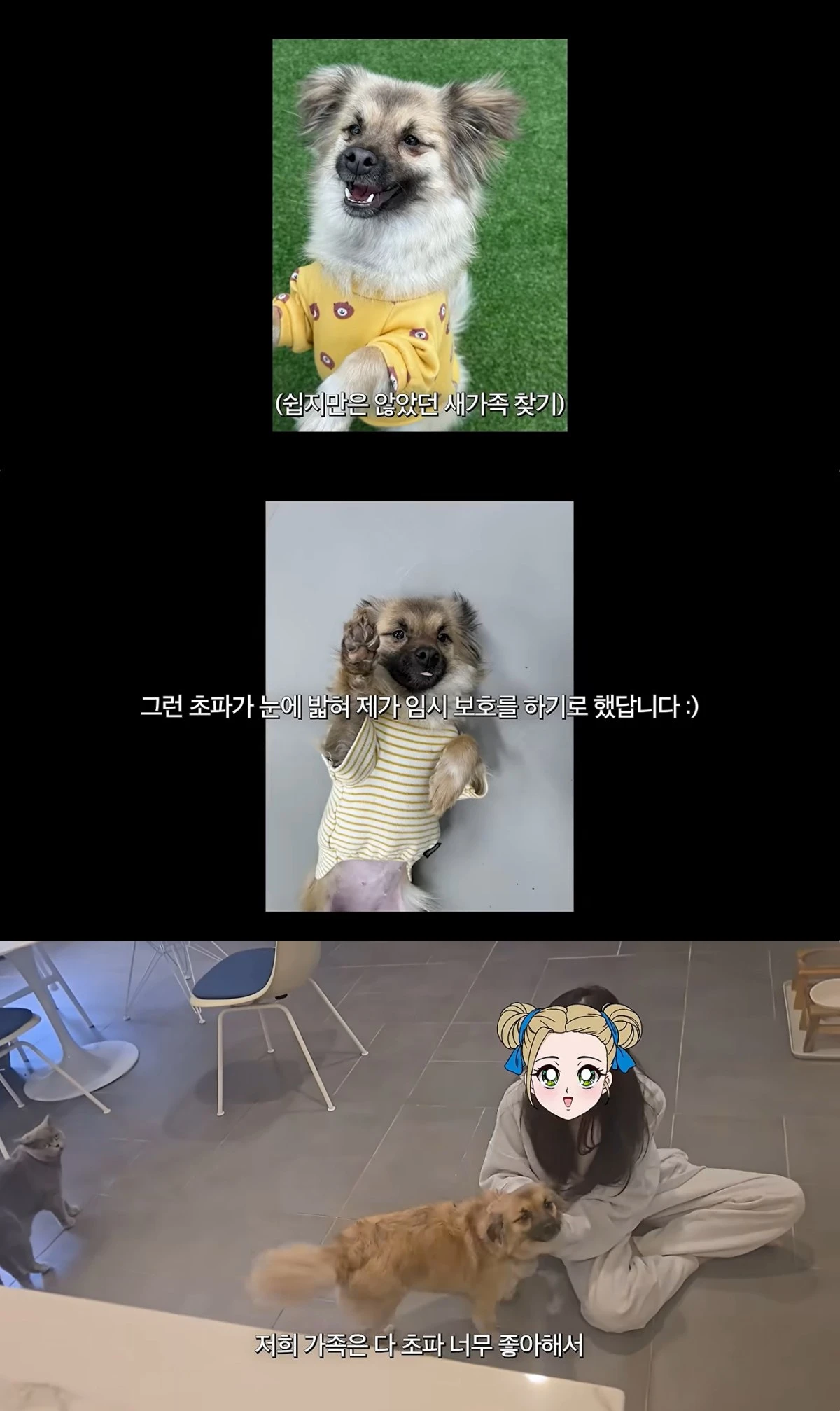 'Mrs. 뉴저지 손태영' 유튜브 캡처