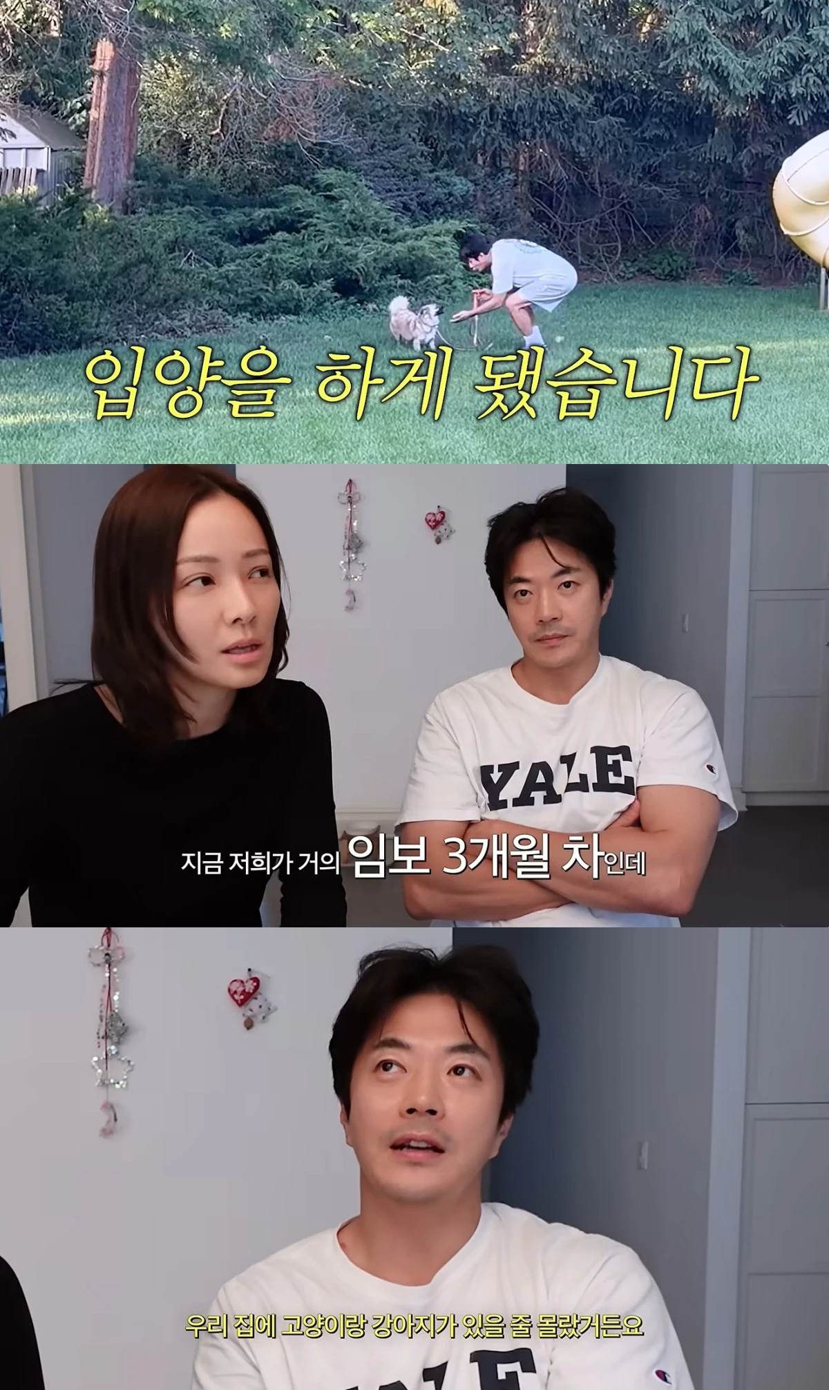 'Mrs. 뉴저지 손태영' 유튜브 캡처
