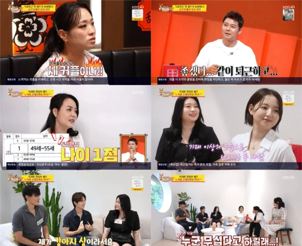 KBS 2TV '사당귀' 방송 화면