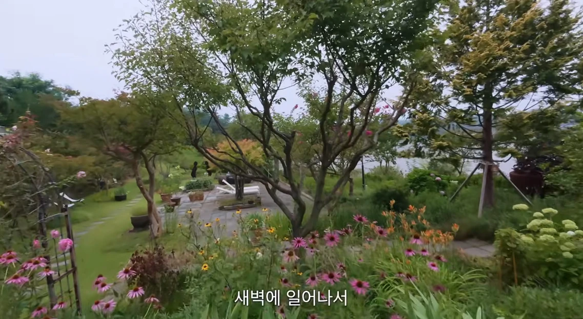 유튜브 채널 '한채아'
