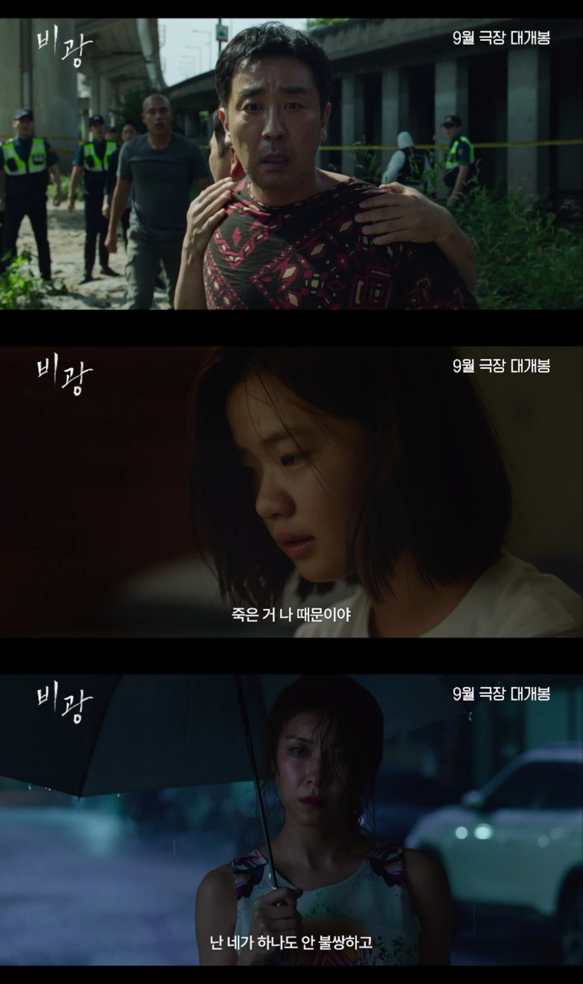 영화 '비광'