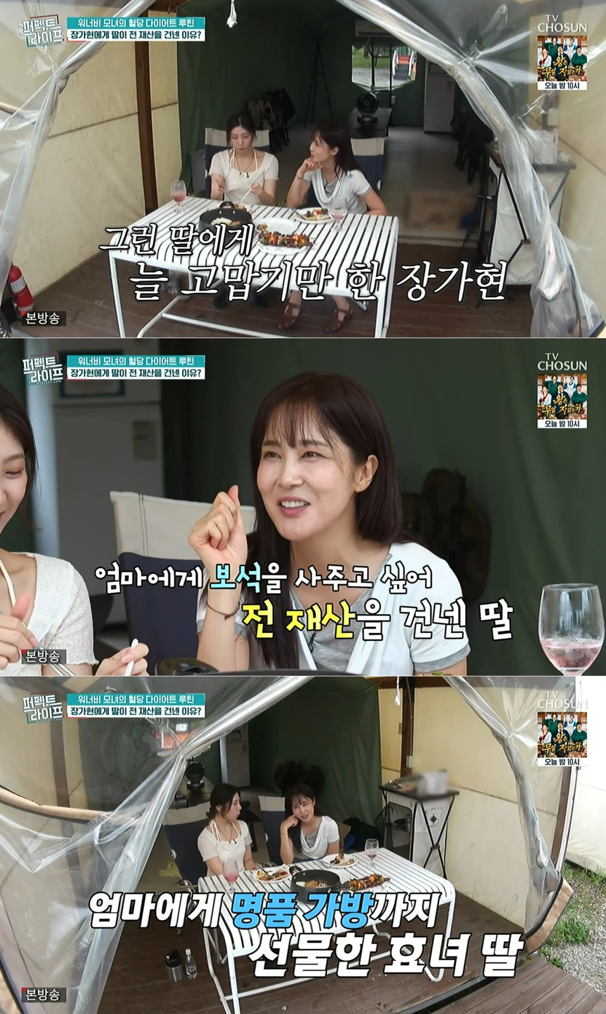 TV조선 '퍼펙트 라이프' 방송 화면