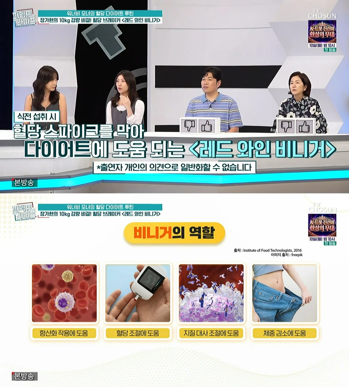 TV조선 '퍼펙트 라이프' 방송 화면