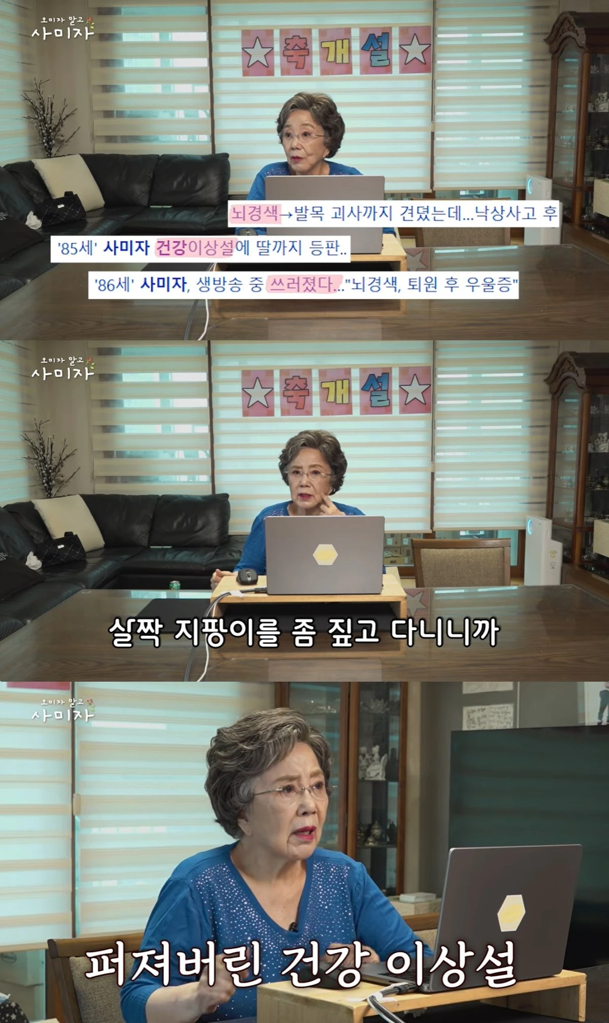 '오미자 말고 사미자' 유튜브 캡처