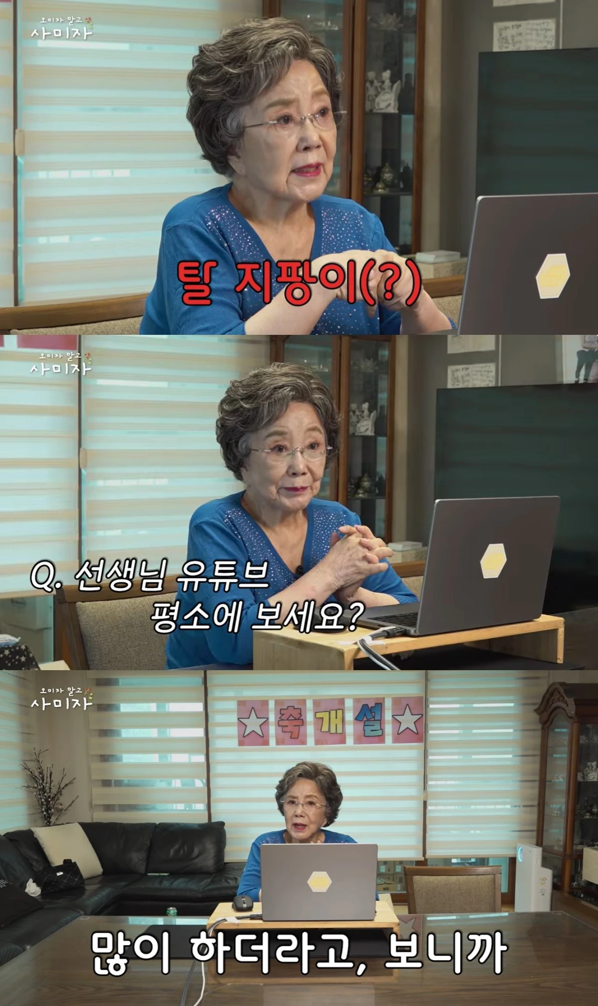 '오미자 말고 사미자' 유튜브 캡처