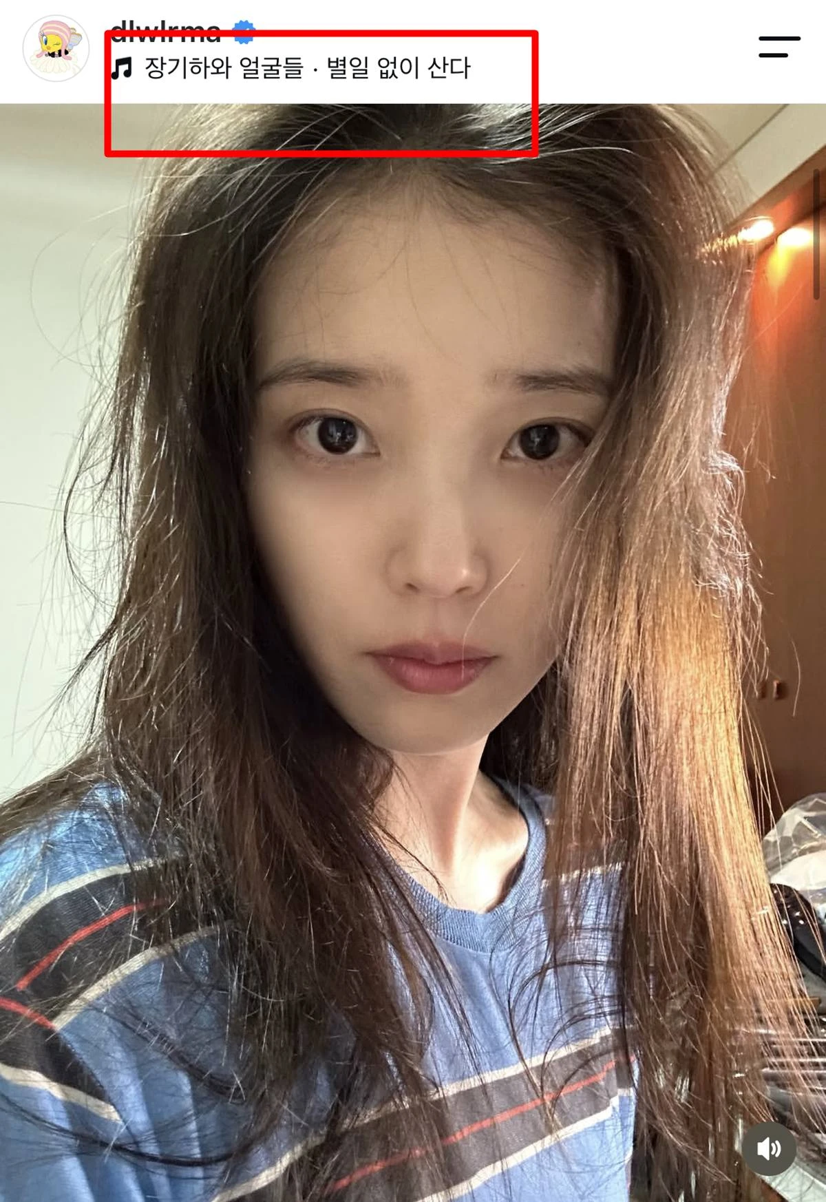 아이유 계정