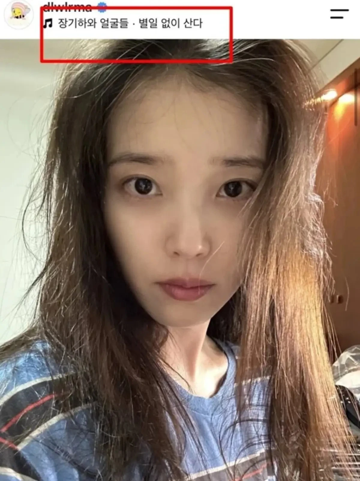 아이유 SNS.
