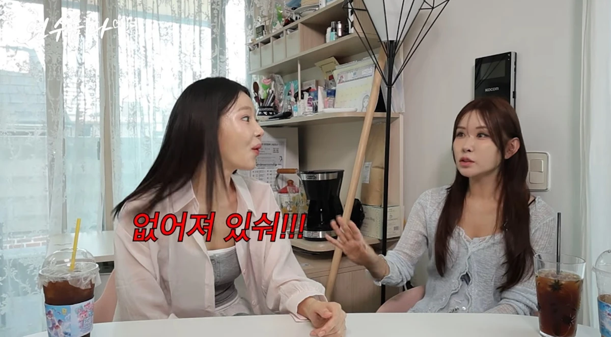 유튜브 채널 '지연수의 연수롭다'