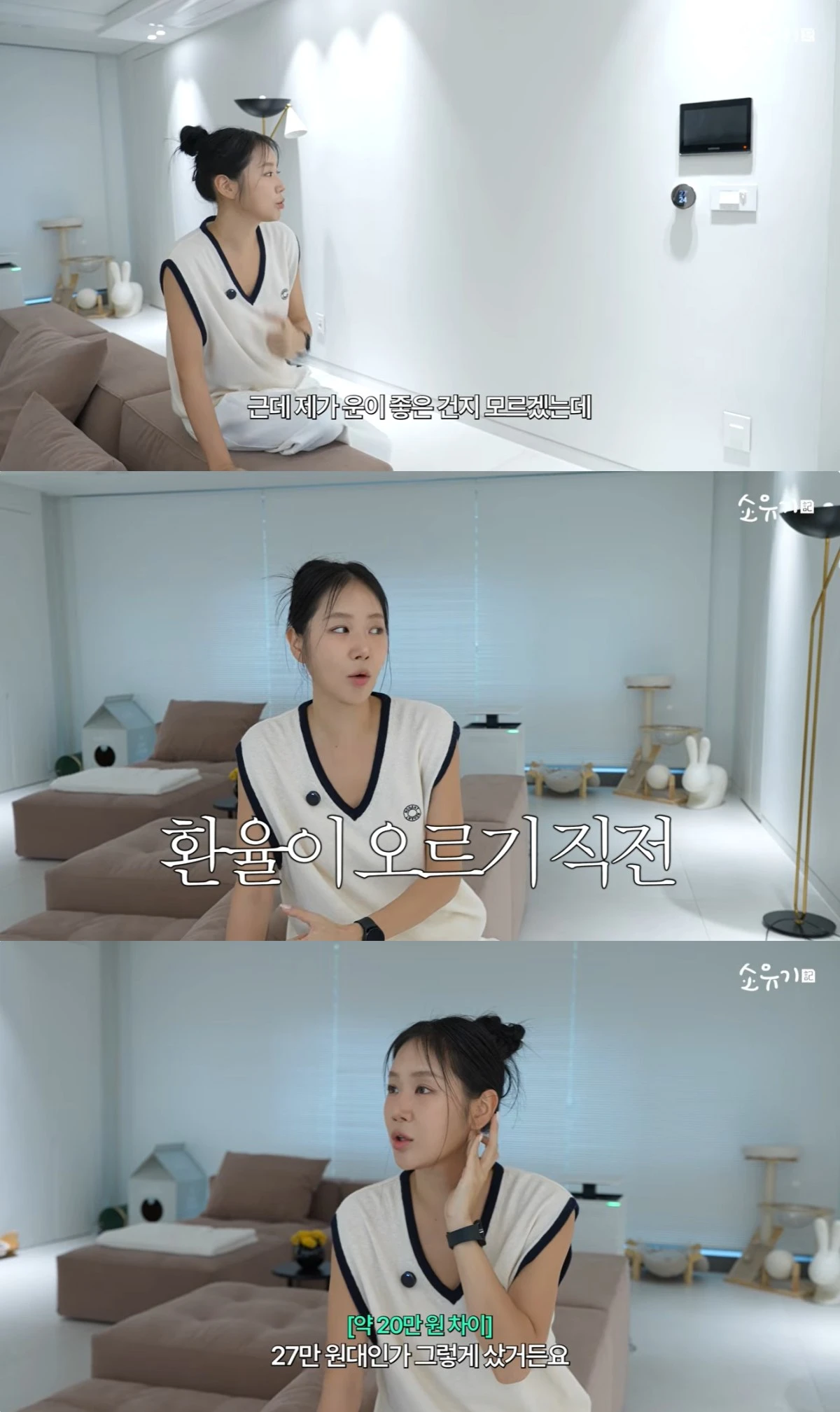 '소유기' 유튜브 캡처