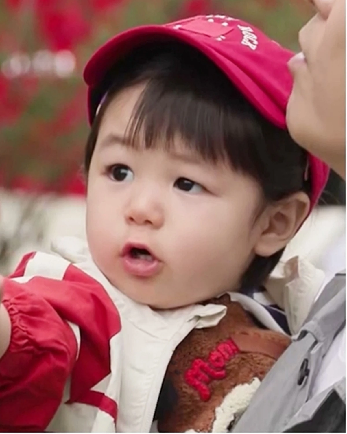 KBS 2TV '슈퍼맨이 돌아왔다'