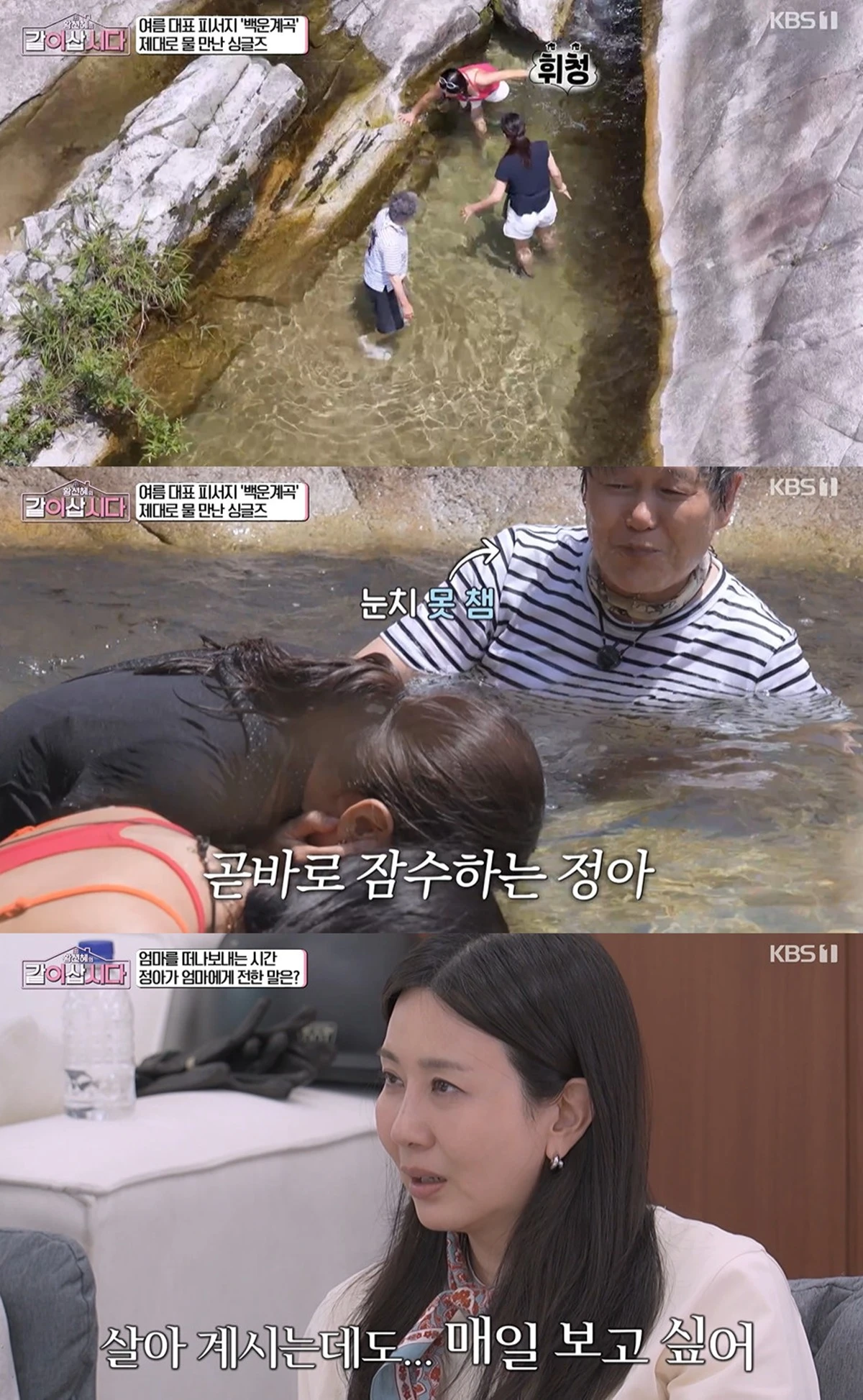 KBS 1TV '황신혜의 같이 삽시다' 방송화면