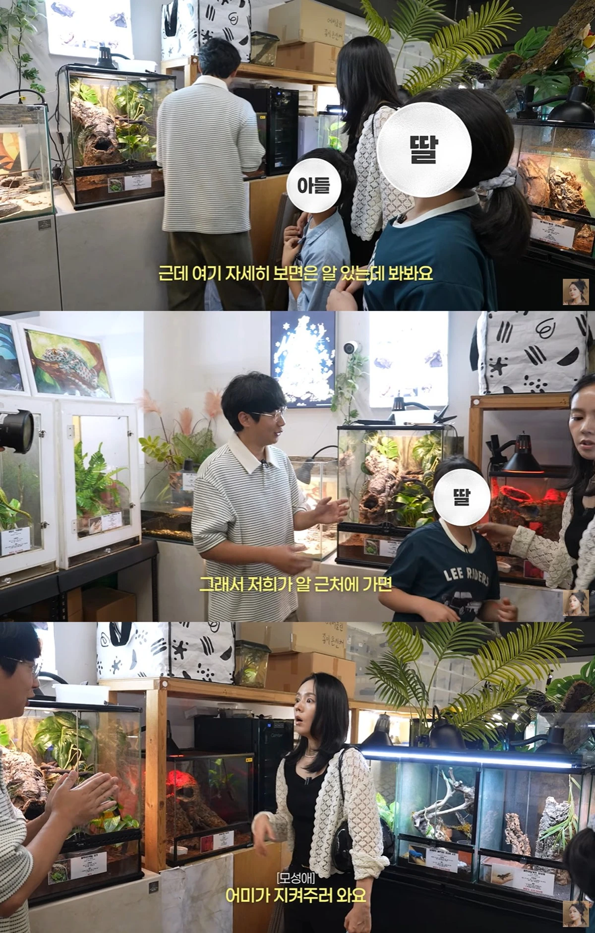 유튜브 '자유부인 한가인'