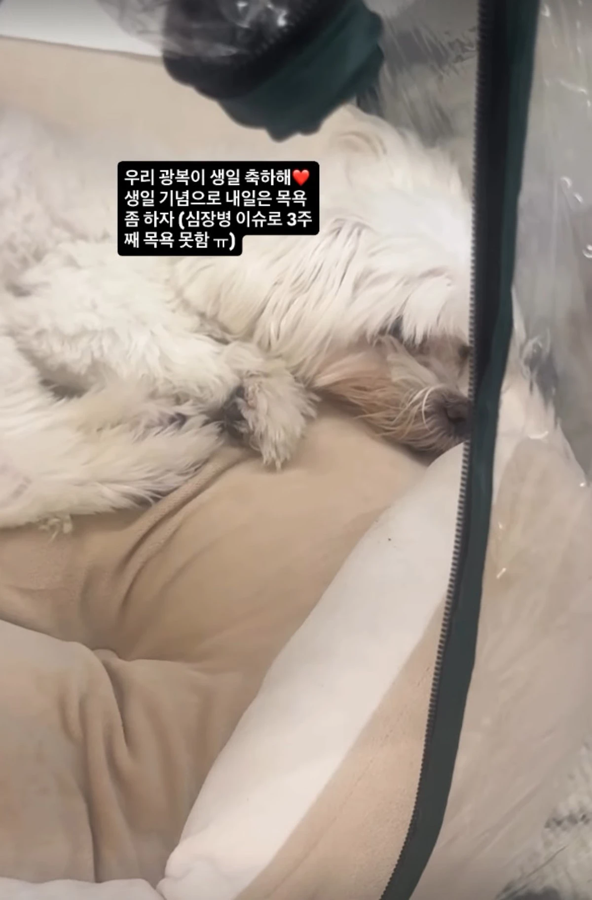 박성광 계정