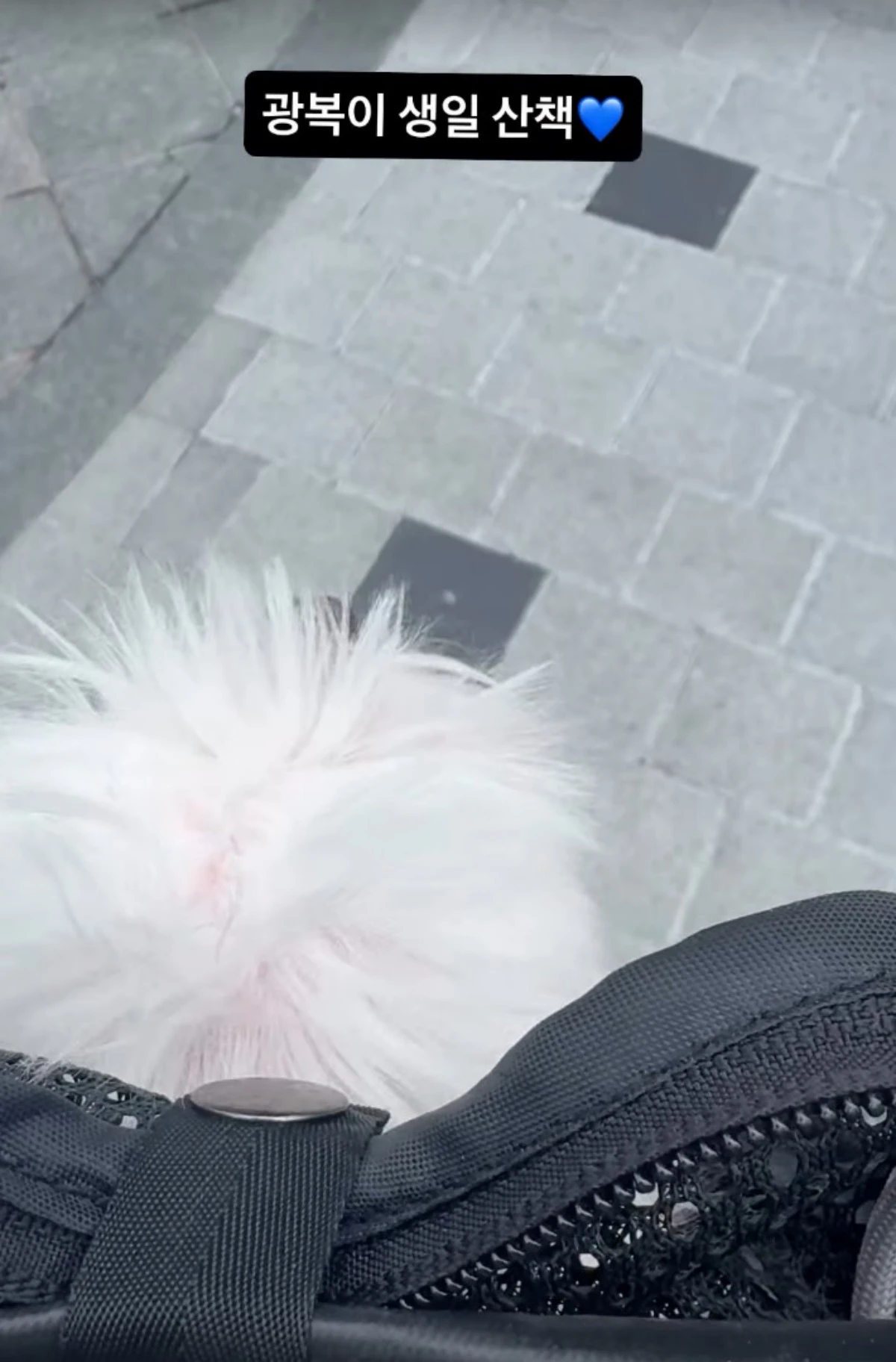 박성광 계정