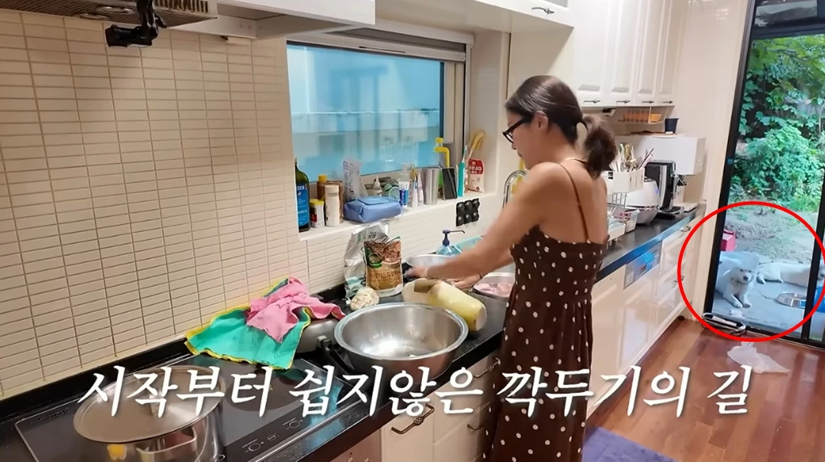 유튜브 채널 '황정음'