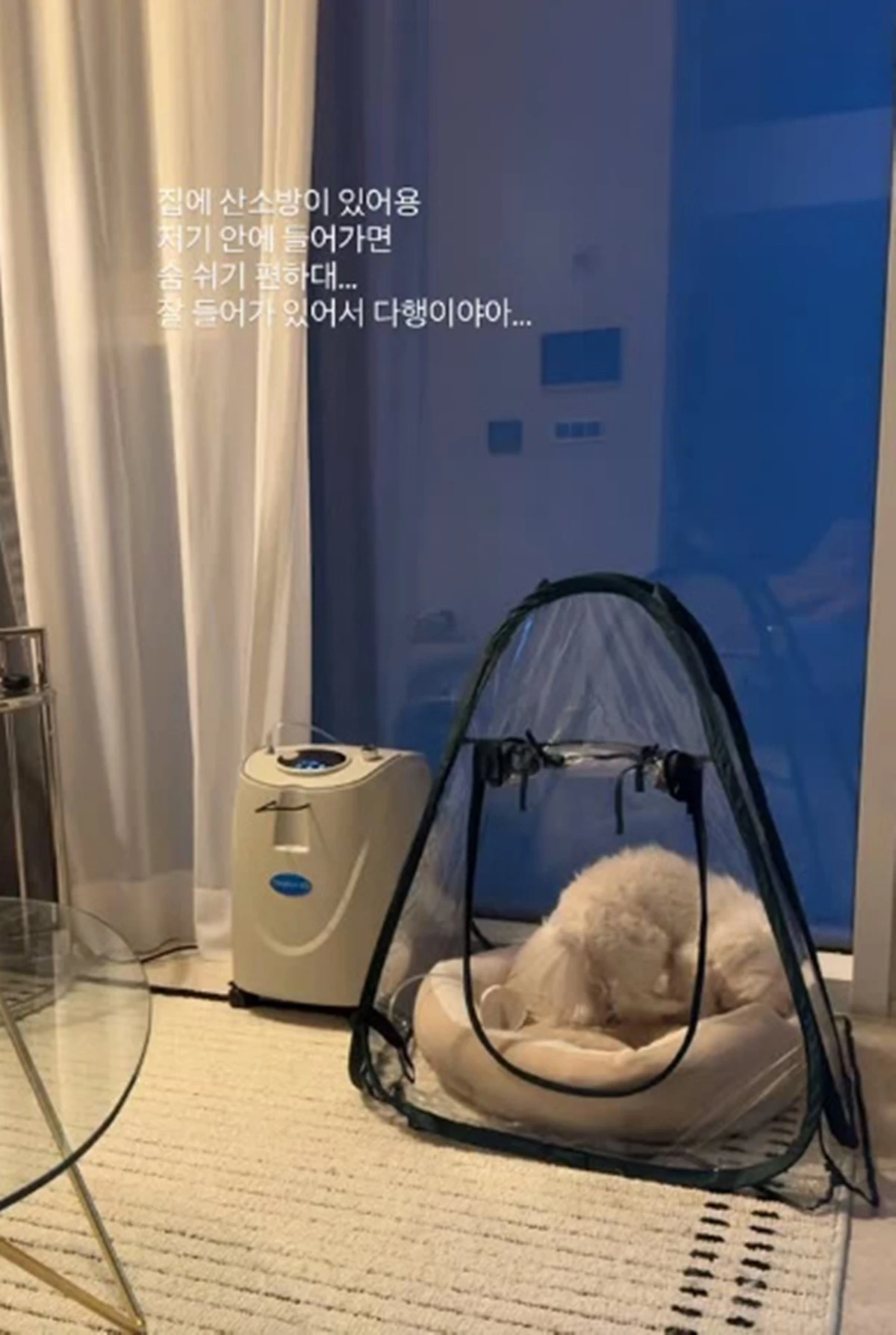 이솔이 SNS