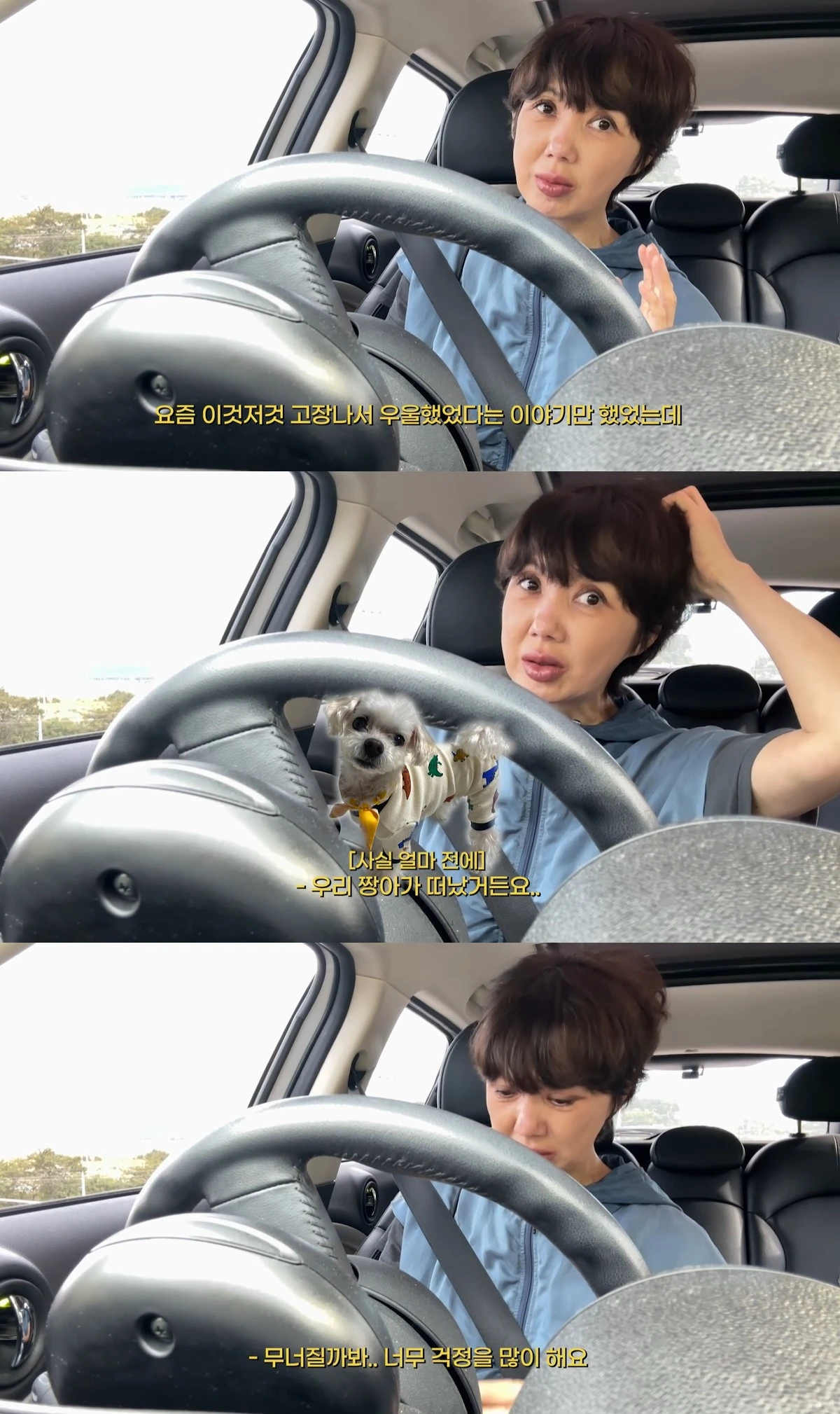 유튜브 '붕어빵이네 혜정규원'