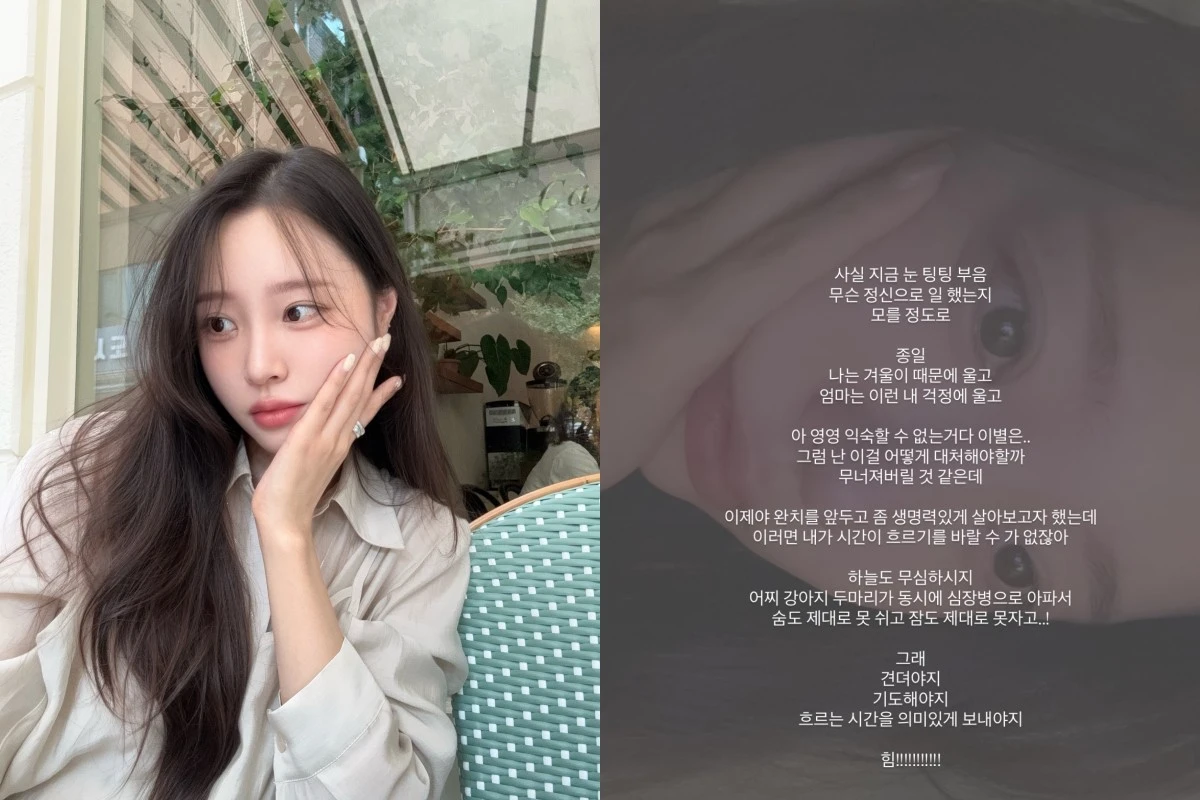 이솔이 계정