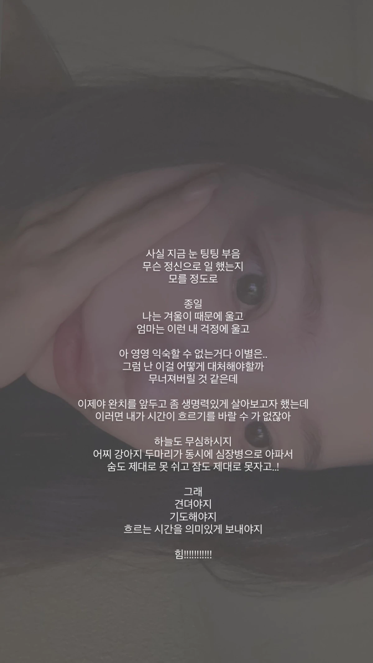 이솔이 계정