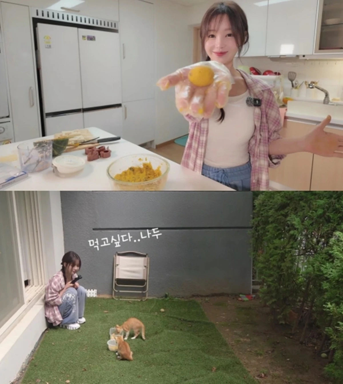 남규리 유튜브