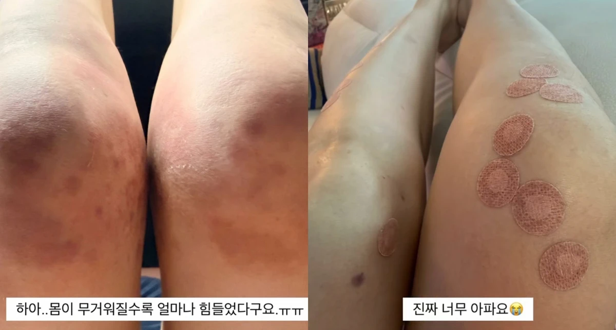 한다감