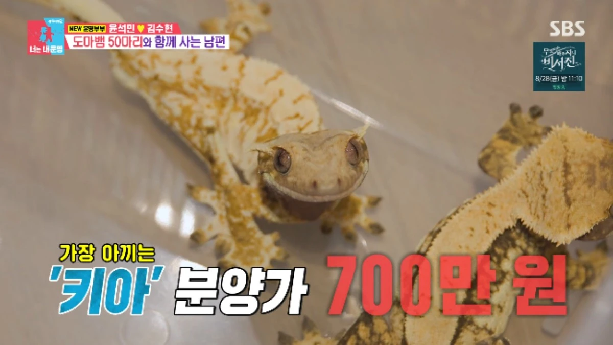 SBS 예능 프로그램 '동상이몽2 - 너는 내 운명' 방송화면 캡처
