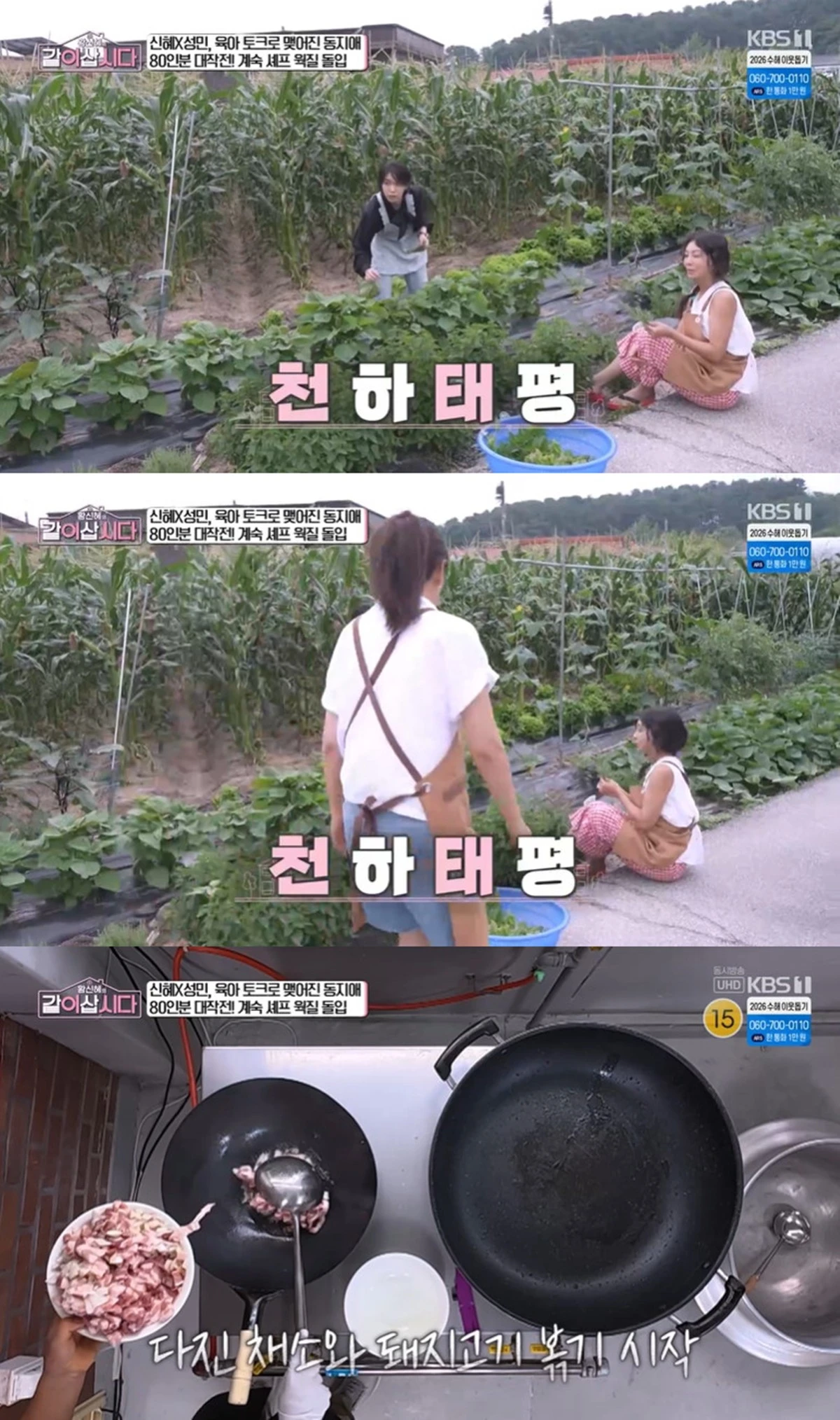 KBS 1TV '황신혜의 같이 삽시다'